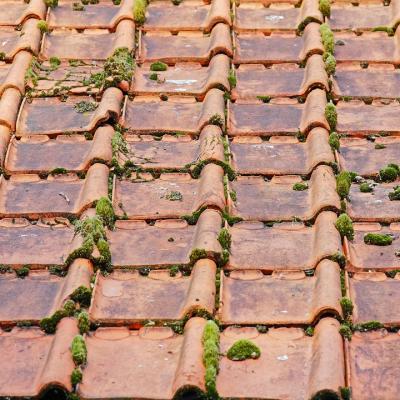 Old roof 2703949 960 720